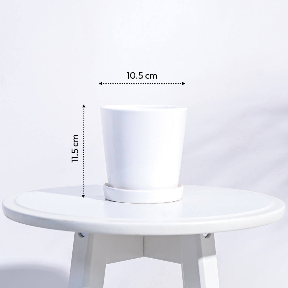 Pot For Table Table Top Ceramic Pot - White – Ugaoo