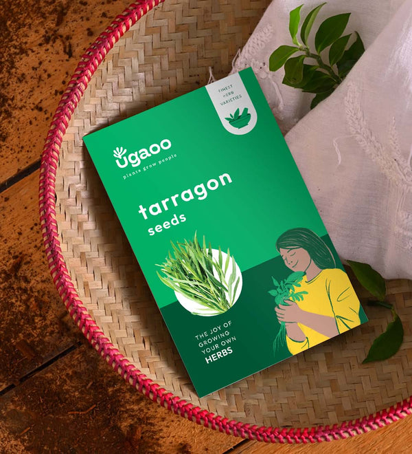 Tarragon Seeds
