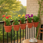 Bello hook planter (set of 5)