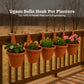 Bello hook planter (set of 5)