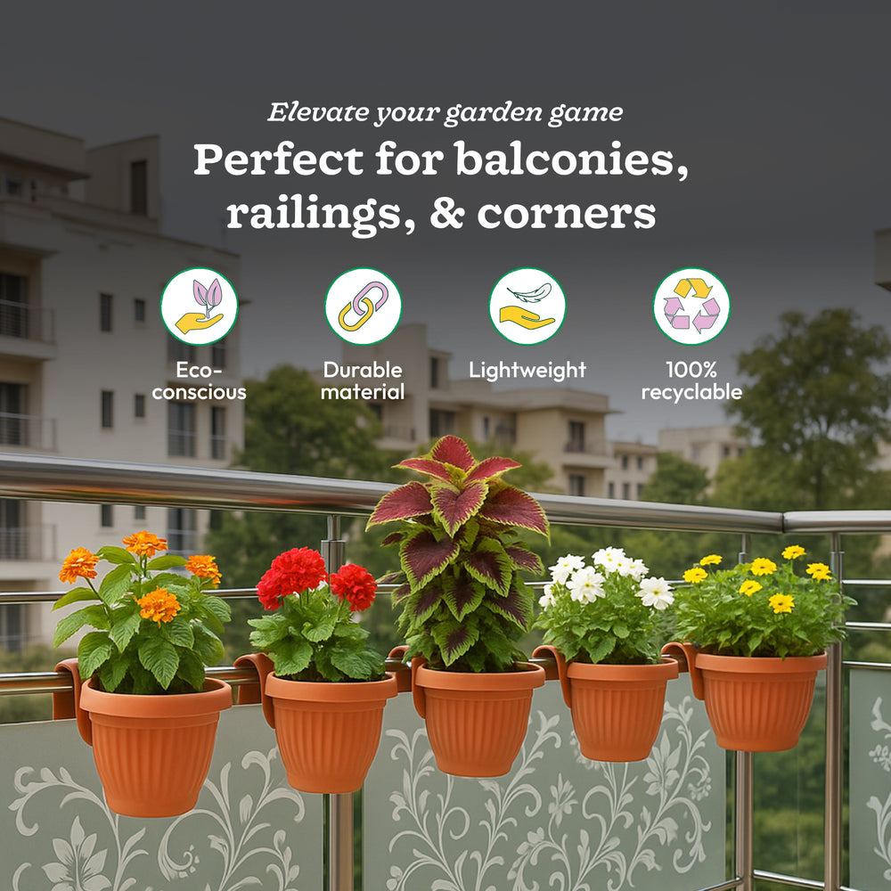 Bello hook planter (set of 5)