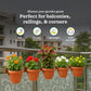 Bello hook planter (set of 5)