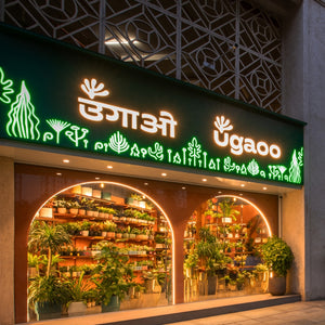 Thane Store