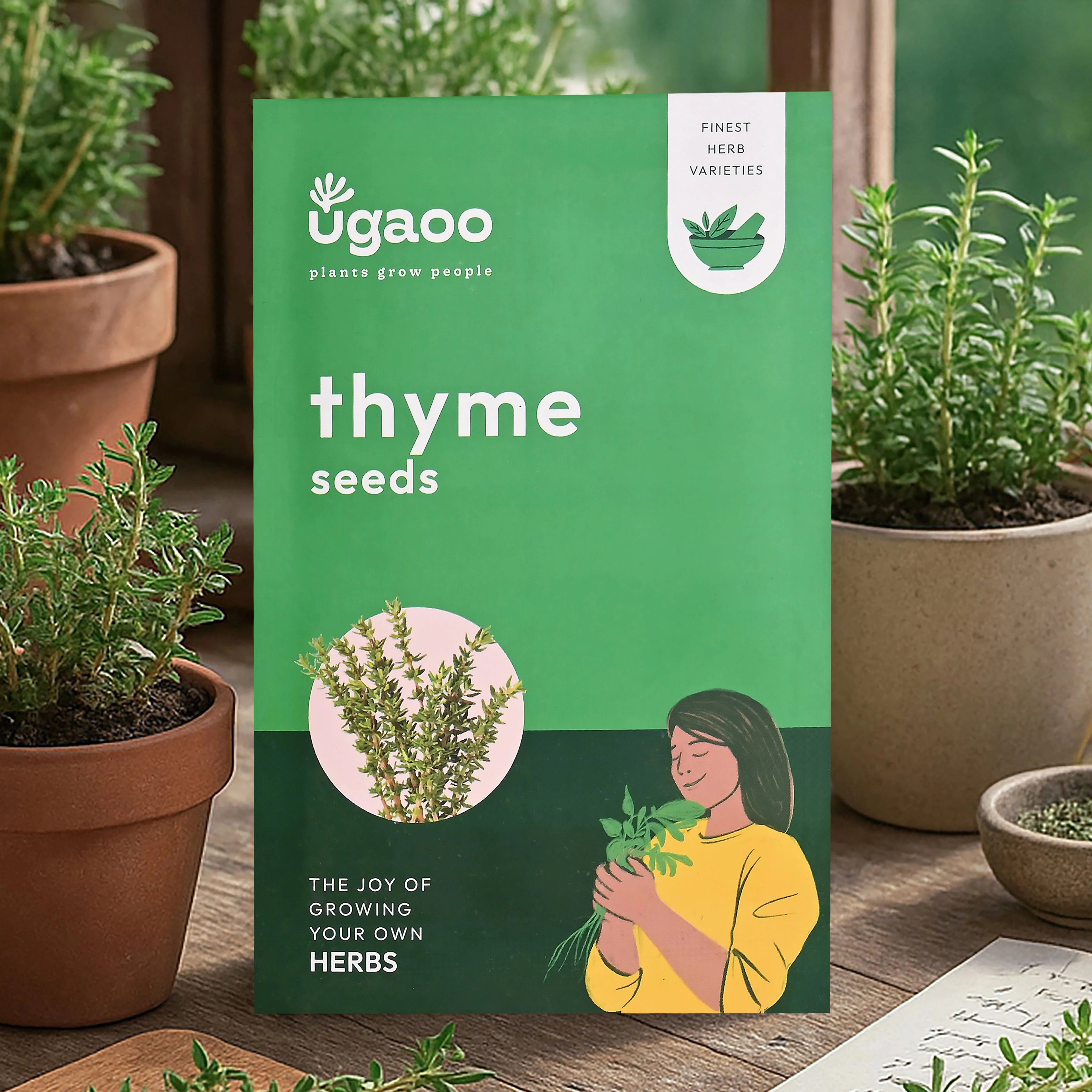 Thyme Seeds