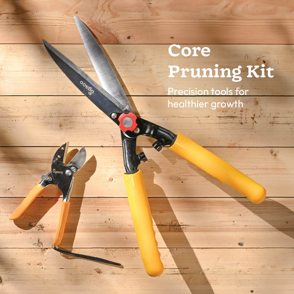 Core Pruning Kit – Essential Gardening Tools | Ugaoo