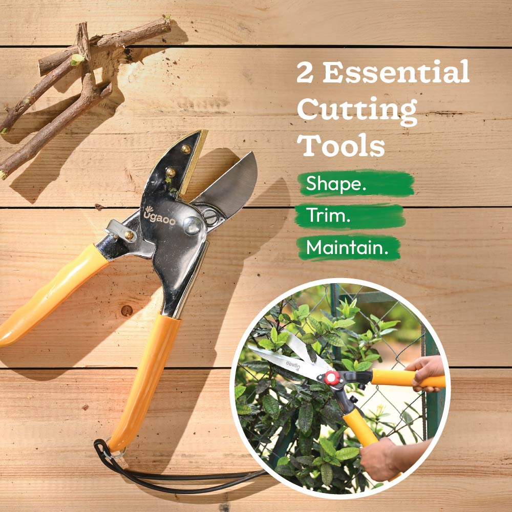 Core Pruning Kit
