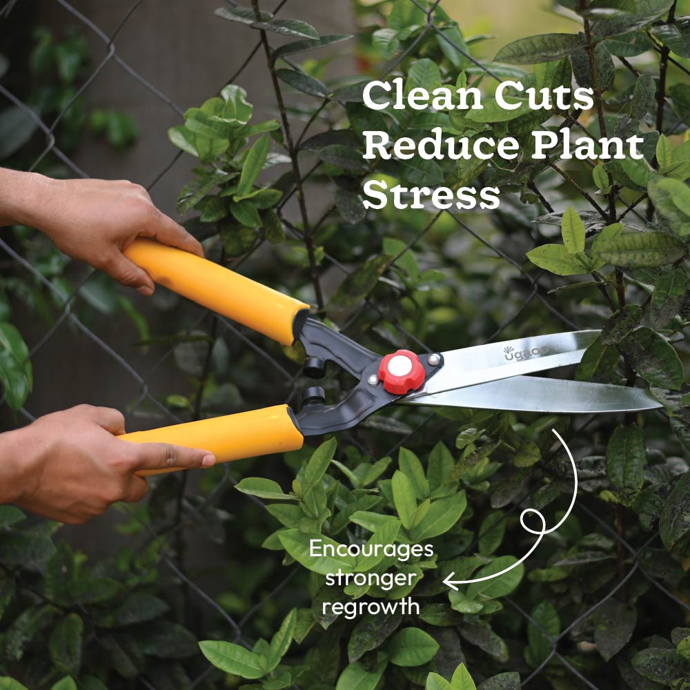 Core Pruning Kit