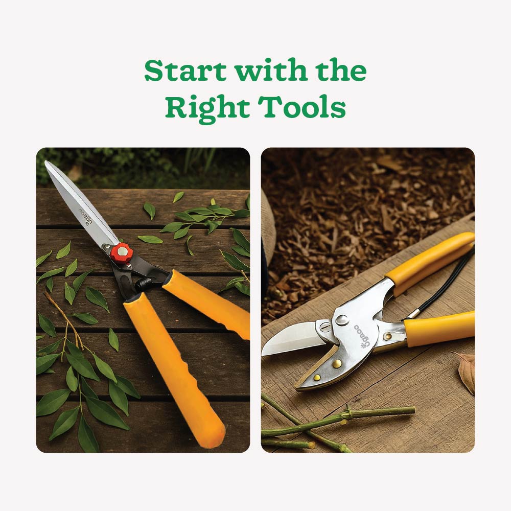 Core Pruning Kit