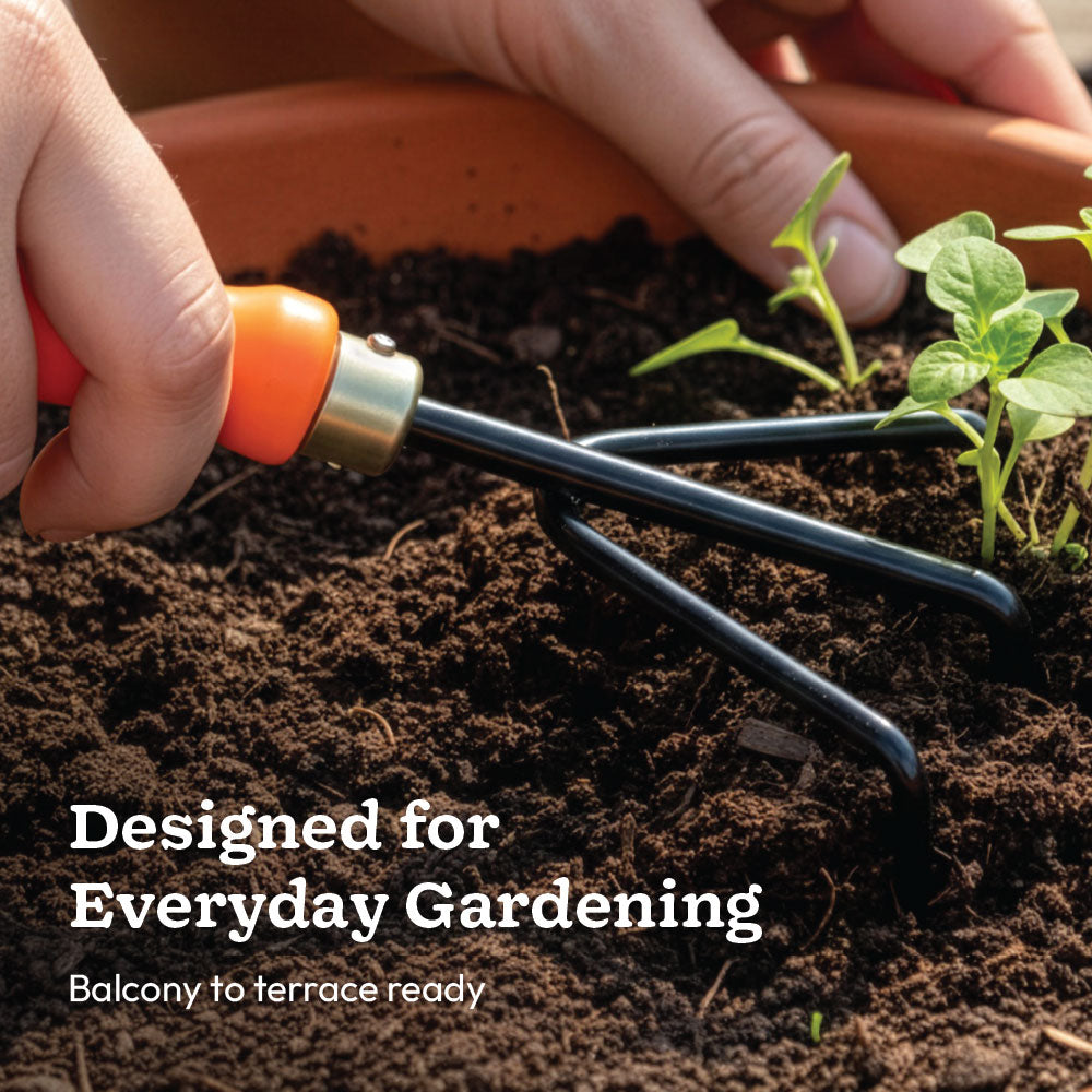 Complete Garden Tool Kit – 6 Essential Gardening Tools | Ugaoo