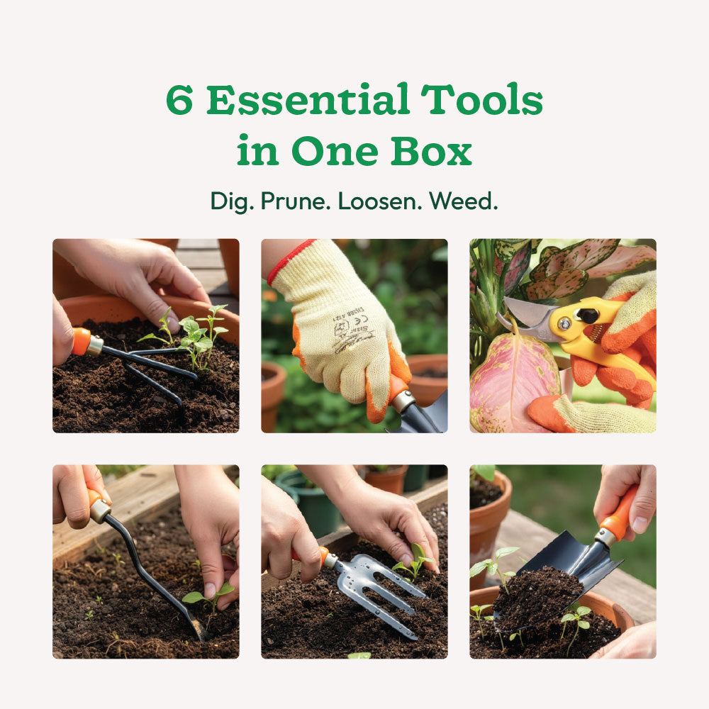Complete Garden Tool Kit – 6 Essential Gardening Tools | Ugaoo