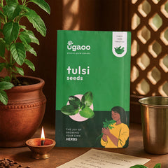 Tulsi Seeds (Holy Basil)