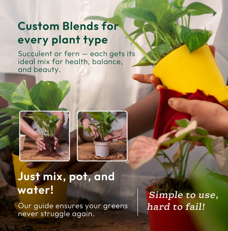 can i use cactus potting soil for other plants Succulent & Cactus Soil Mix: A Perfect Potting Blend