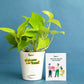 Plant Eco-Friendly Employee Welcome Kit