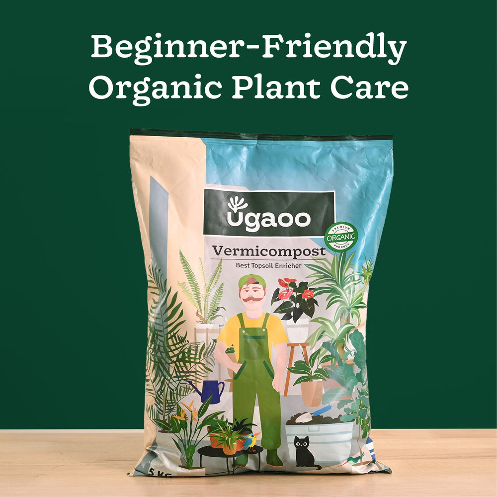 vermicompost for succulents Premium Vermicompost for Thriving Gardens