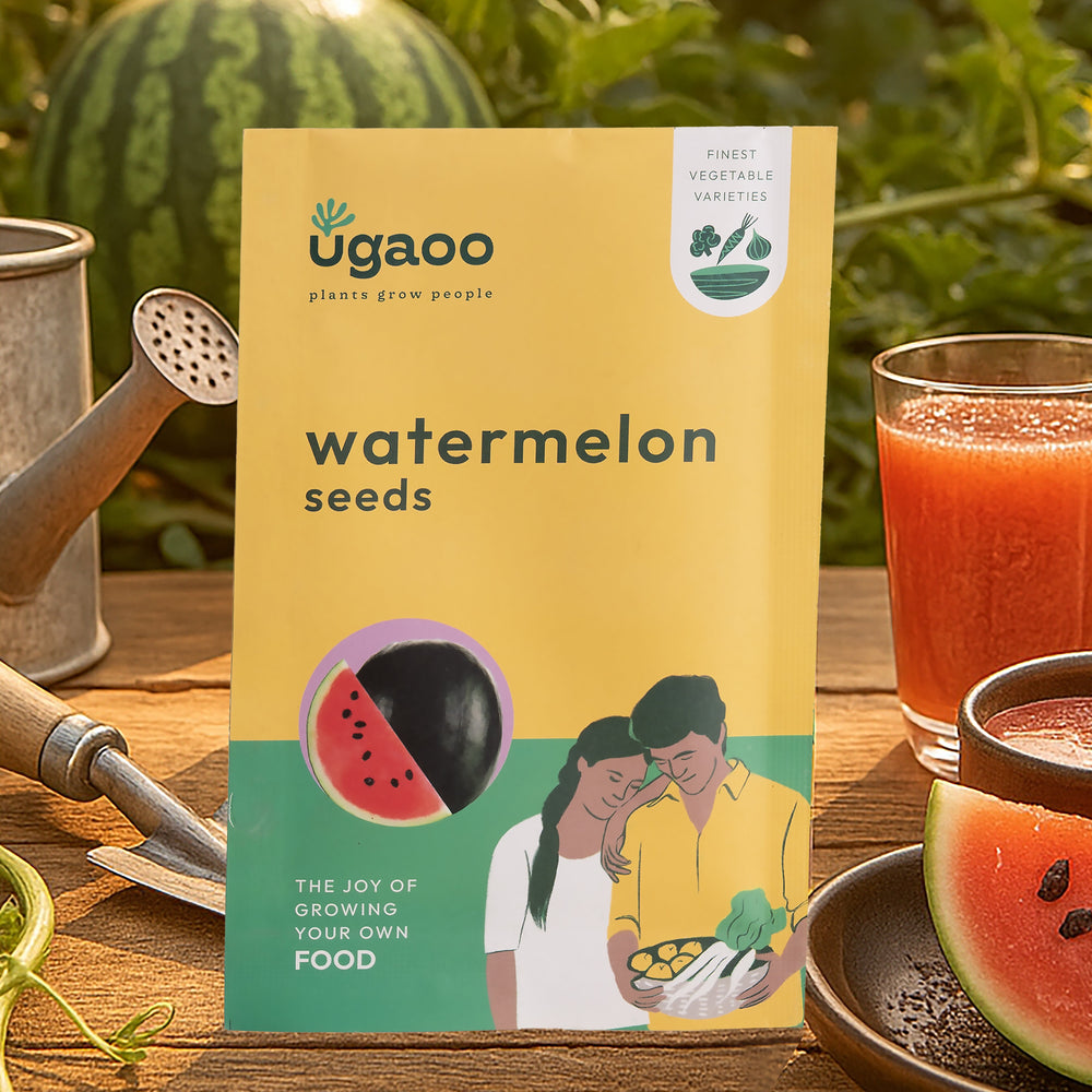 plant a watermelon seed osrs 2 g - Watermelon Seeds for Planting