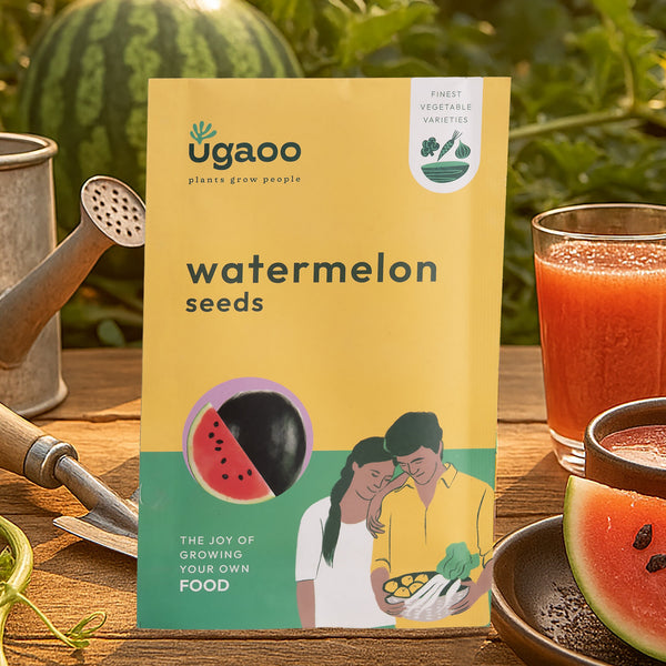 Watermelon Seeds
