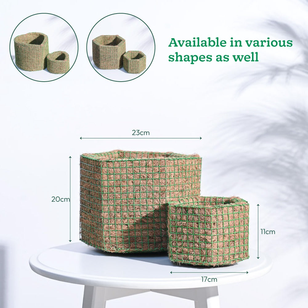 Hexa Coir Planter - Set of 2