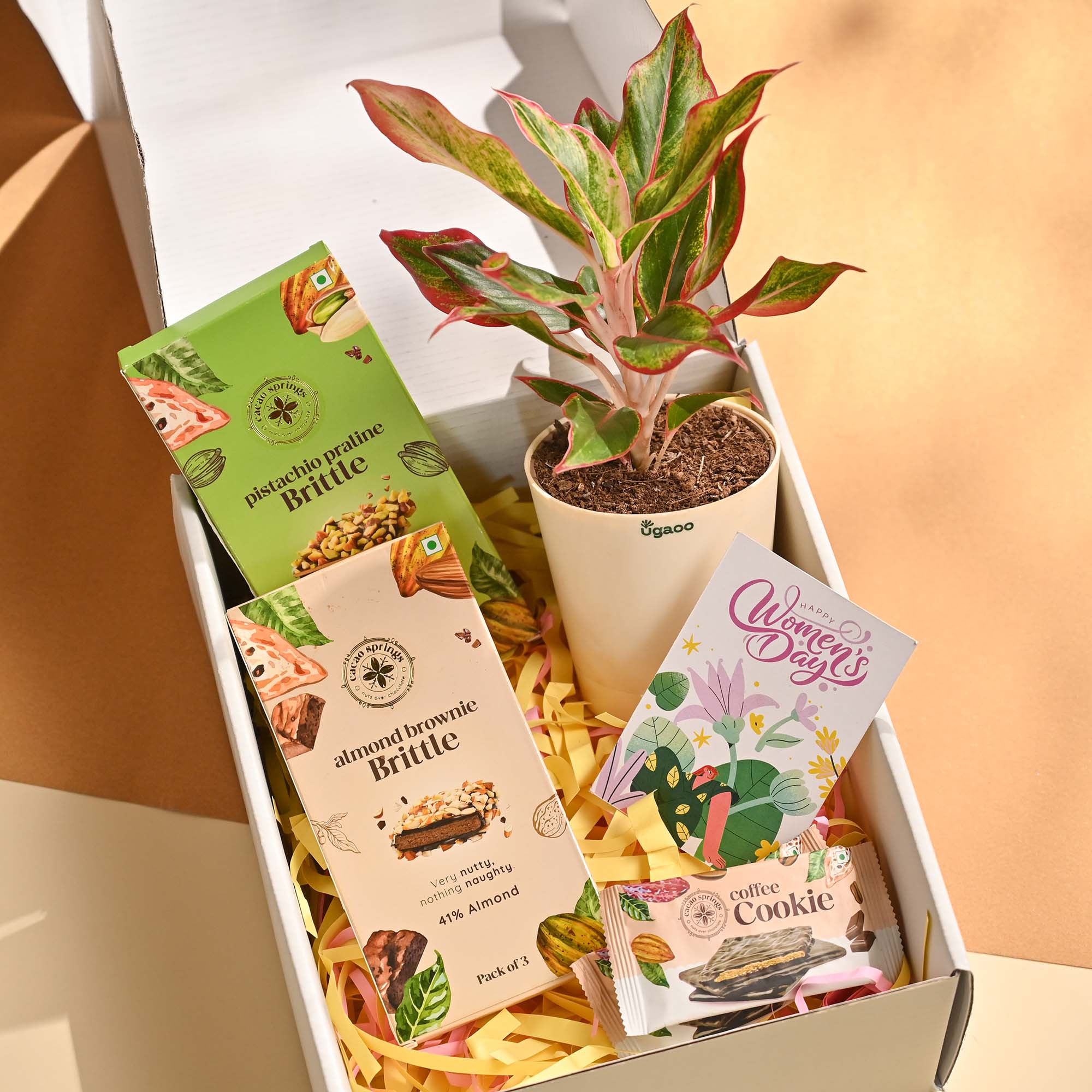 Bold &amp; Bloom – Women’s Day Celebration Hamper