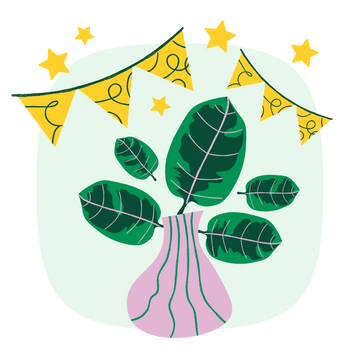 Collection-list-image