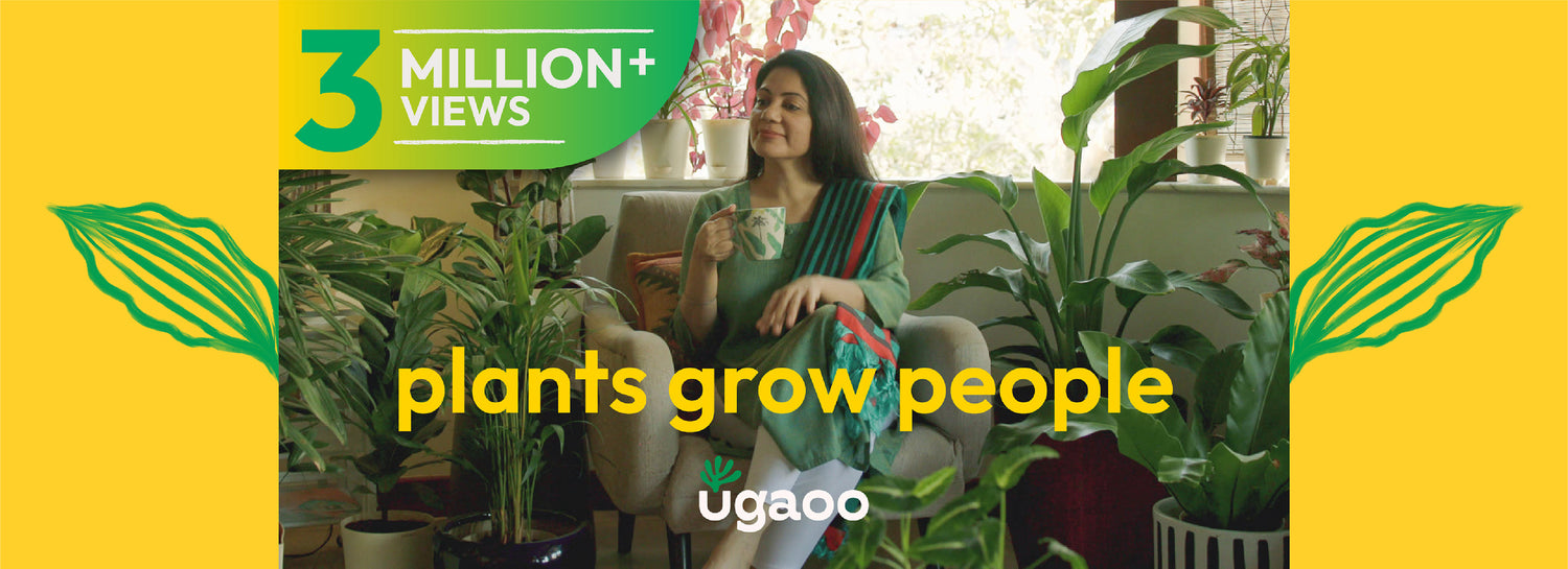Load video: Plants grow people