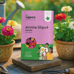 Zinnia Lilliput Mix Seeds