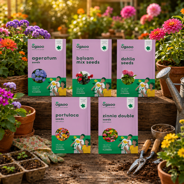 Flower Seeds Bundle of 5 Packet