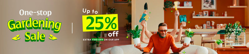 Offer banner