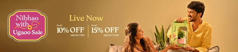 Offer banner