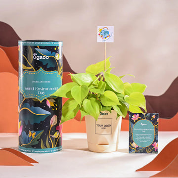 Collection-list-image