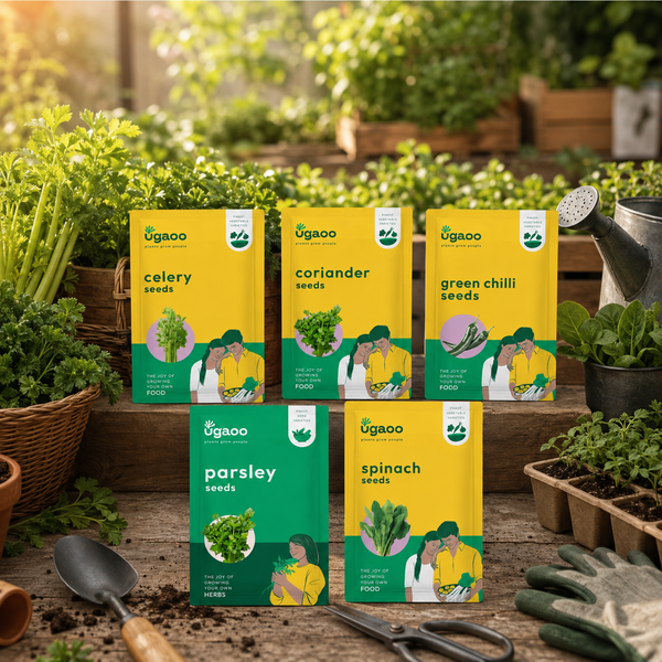 Indian Greens Bundle of 5 Packet