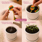 Plantable Seed Rakhi with Cucumber & Amaranth Seeds