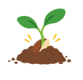 3-4 Day Sprout