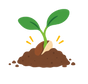 3-4 Day Sprout