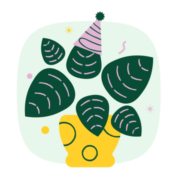 Collection-list-image