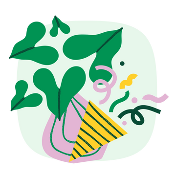 Collection-list-image