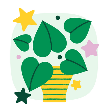 Collection-list-image