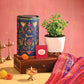 Jade Mini Plant - Diwali Edition
