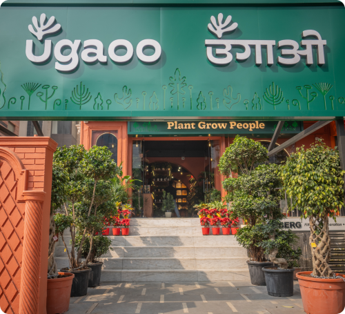 Ugaoo - Janakpuri