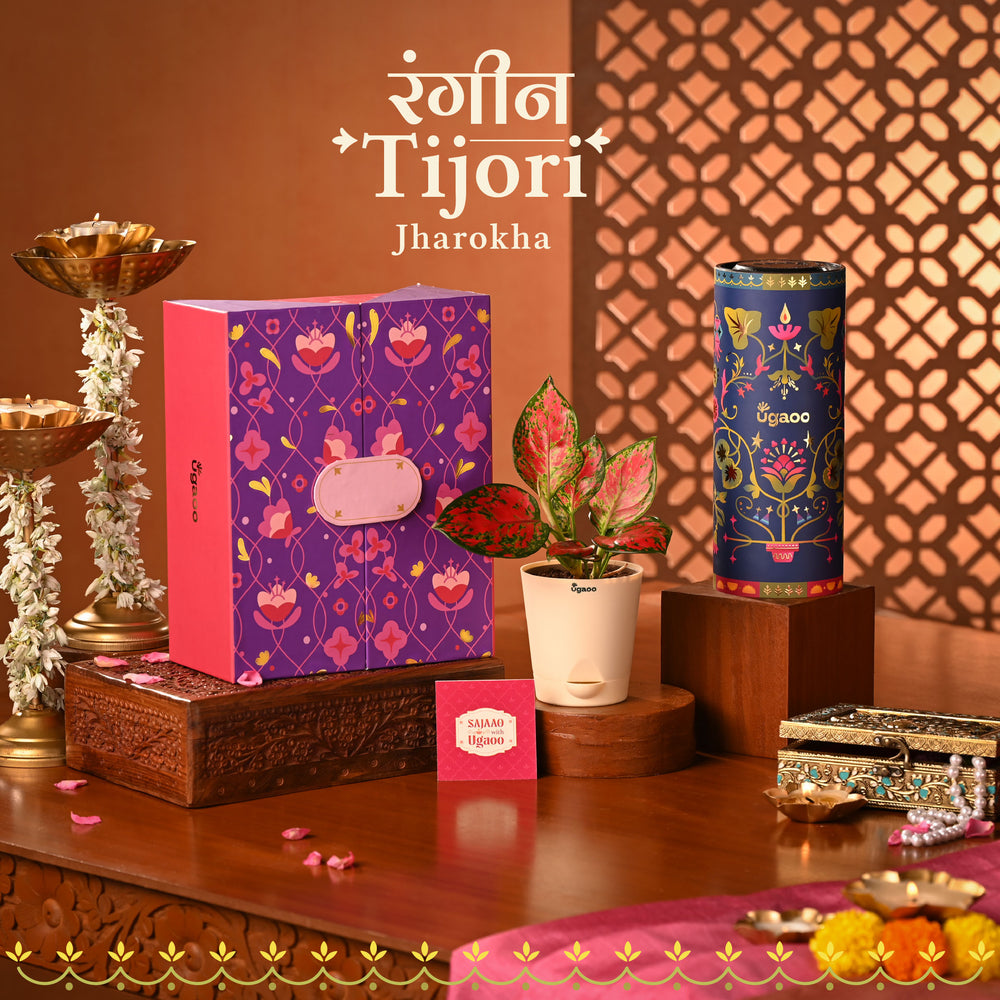 Jharokha Diwali Hamper