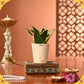 Jhoomar Diwali Hamper
