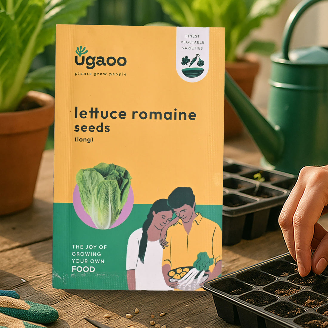 Lettuce Romaine Seeds (Long)