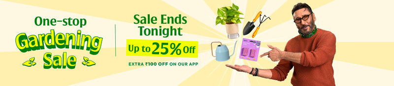 Offer banner