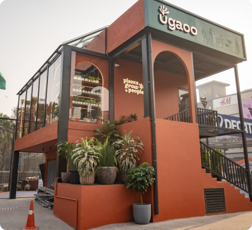 Ugaoo - Pacific Mall