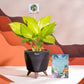 NUED0464
