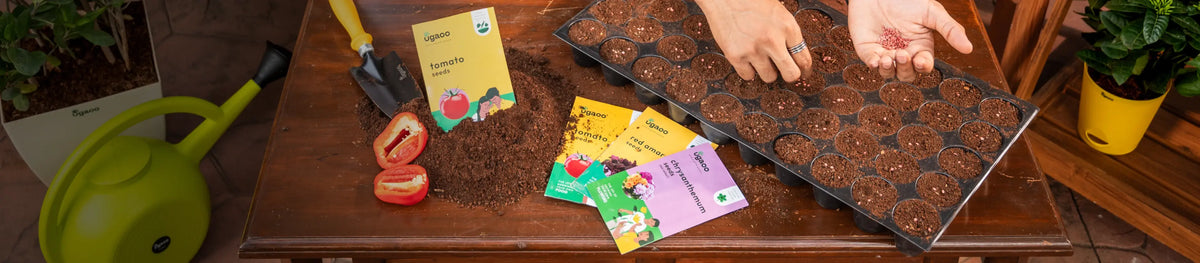 <p>Grow your <br/>own<em> </em>Garden</p>