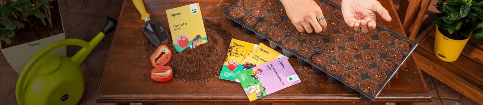 <p>Grow your <br/>own<em> </em>Garden</p>