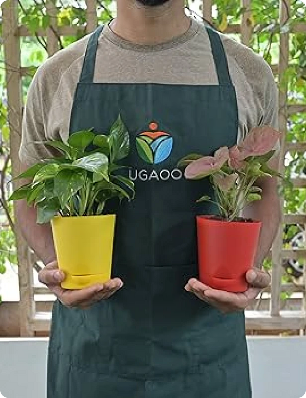 Happy planter