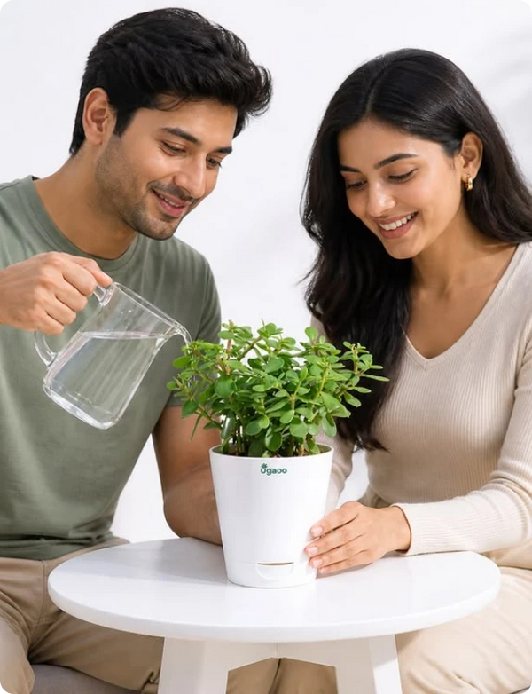 Happy planter