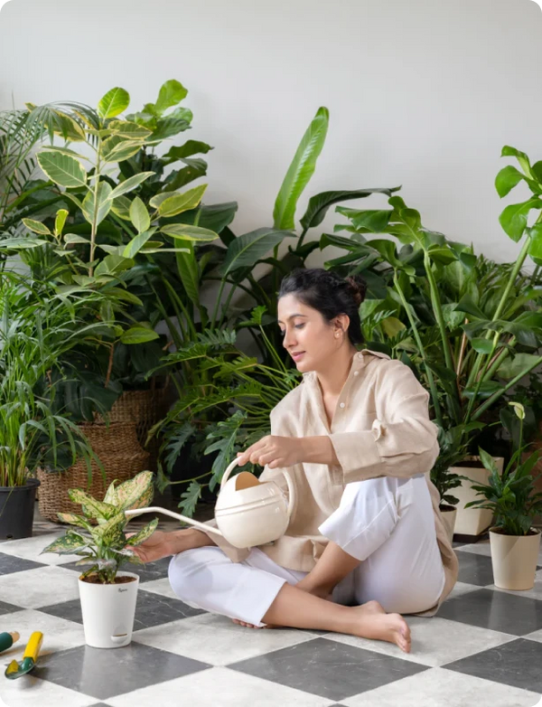 Happy planter