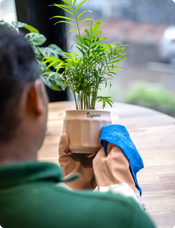Happy planter
